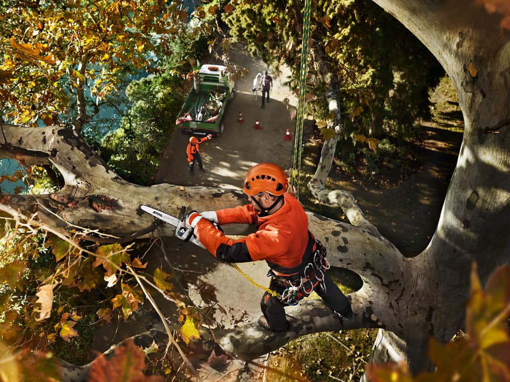 Stihl Chainsaw Aspirational Image