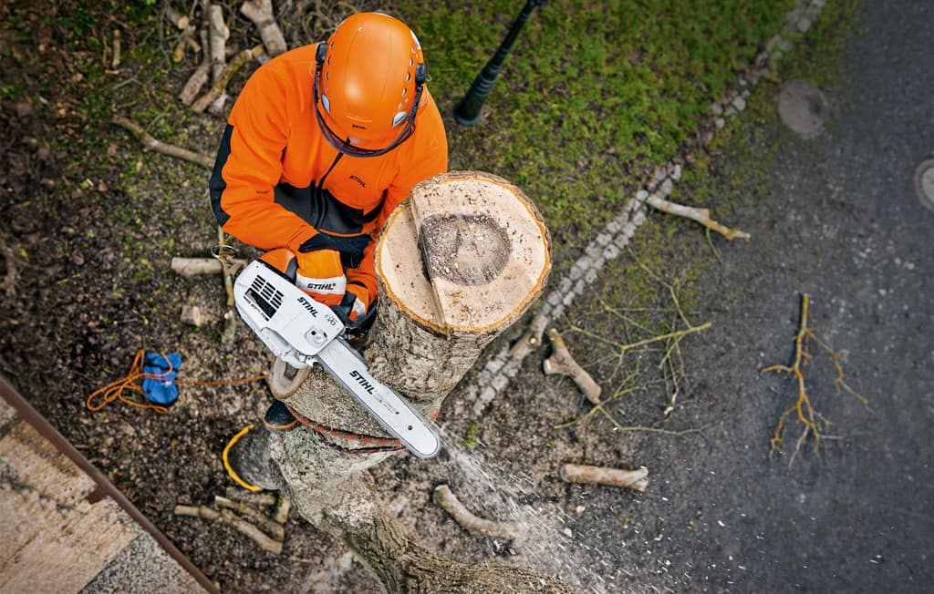Chainsawing