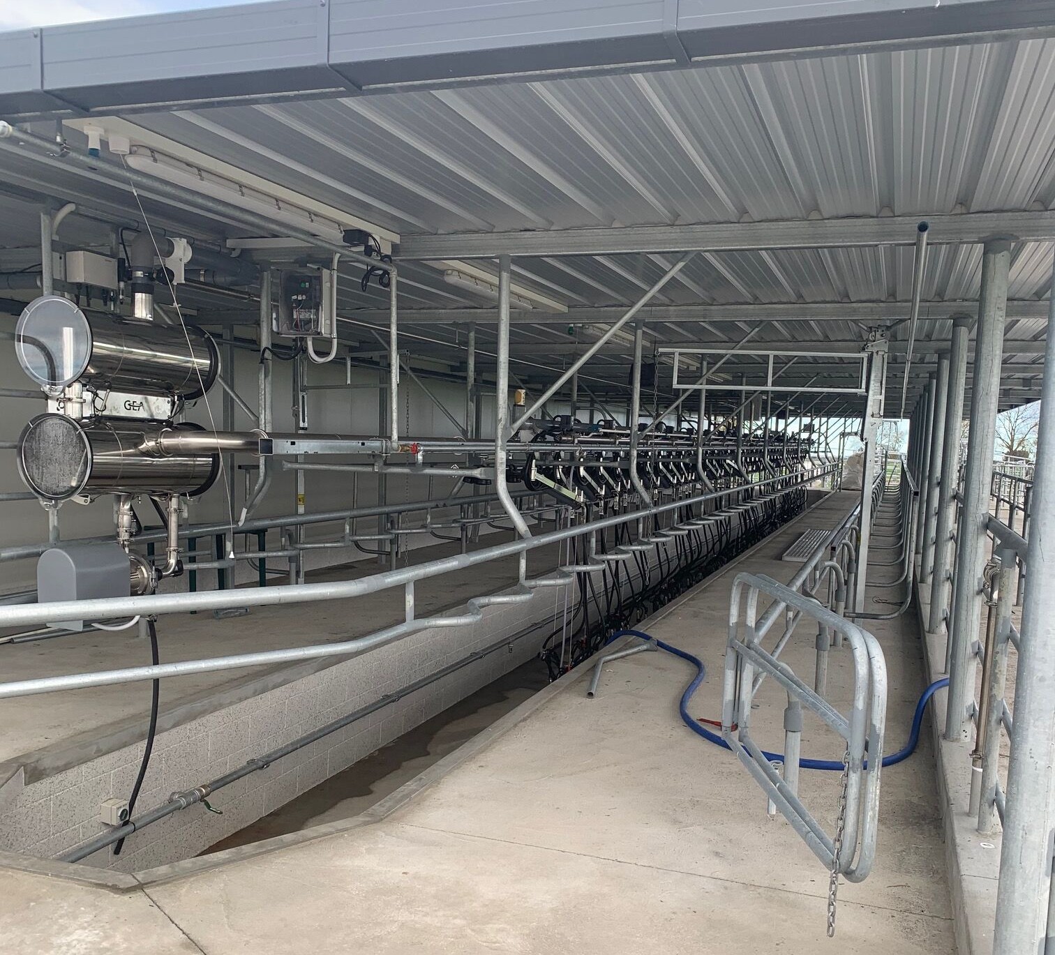 Modern rotary dairy milking shed with professional milking machine installation designed for efficient dairy farm operations.